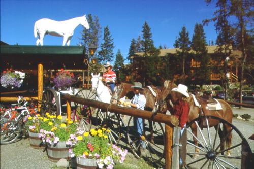 HILLS HEALTH RANCH 006